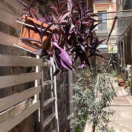 Suite Vicolo Lavico Catania Bagian luar foto